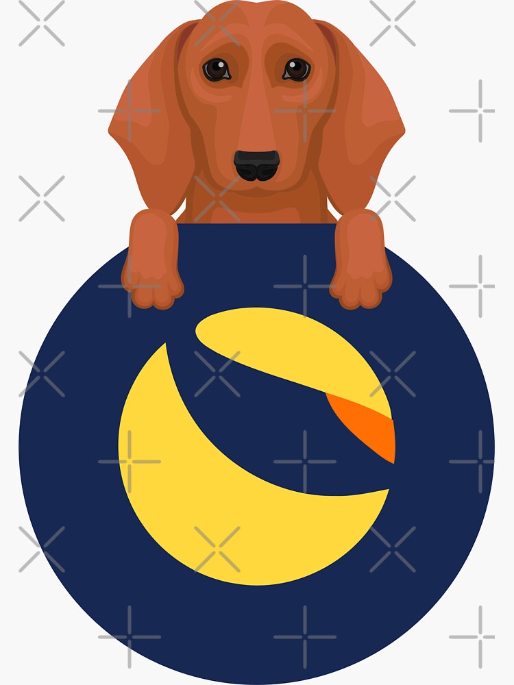 dachshund coin crypto