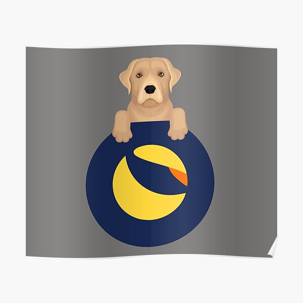 labrador crypto