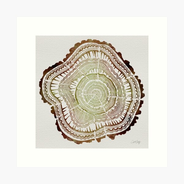 Tree Rings – Watercolor Art Print
