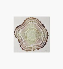 Lámina de exposición Anillos de árbol - Acuarela