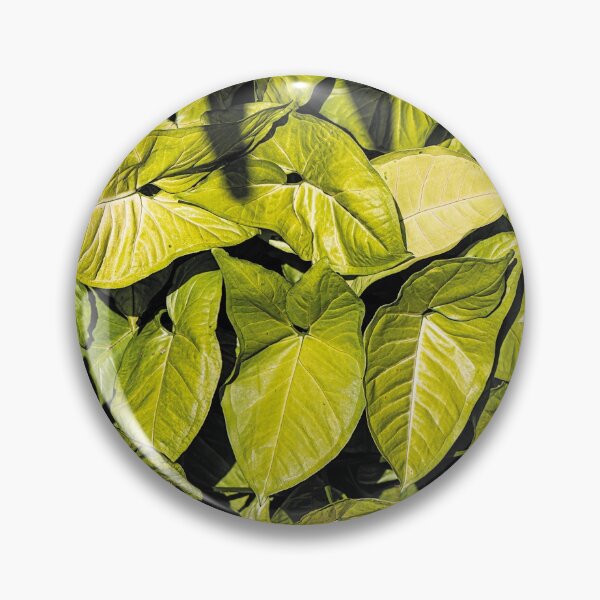 Item preview, Vines in Shady Garden designed and sold by KbytesOfJax Outdoor and Nature.