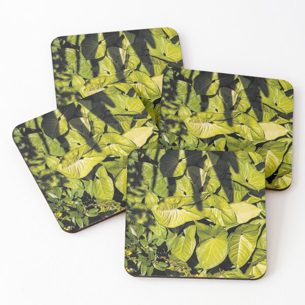 Item preview, Vines in Shady Garden designed and sold by KbytesOfJax Outdoor and Nature.