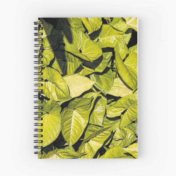 Item preview, Vines in Shady Garden designed and sold by KbytesOfJax Outdoor and Nature.