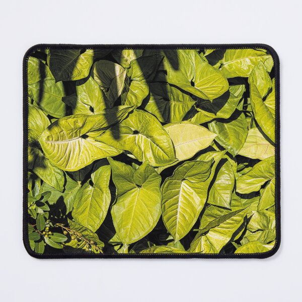Item preview, Vines in Shady Garden designed and sold by KbytesOfJax Outdoor and Nature.