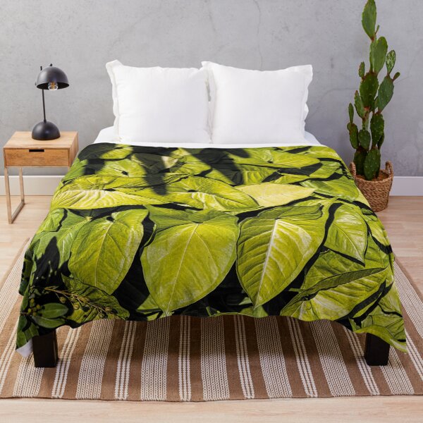 Item preview, Vines in Shady Garden designed and sold by KbytesOfJax Outdoor and Nature.