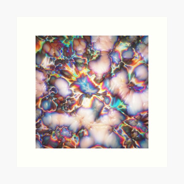 455 Art Print