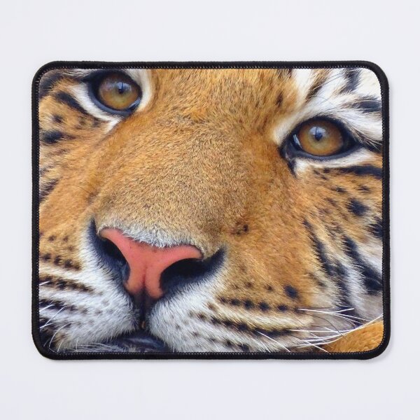 Artikelvorschau, Tigers Traum entworfen und verkauft von Anahit Petrosyan Art Studio & Unique Print Designs for a Gift.