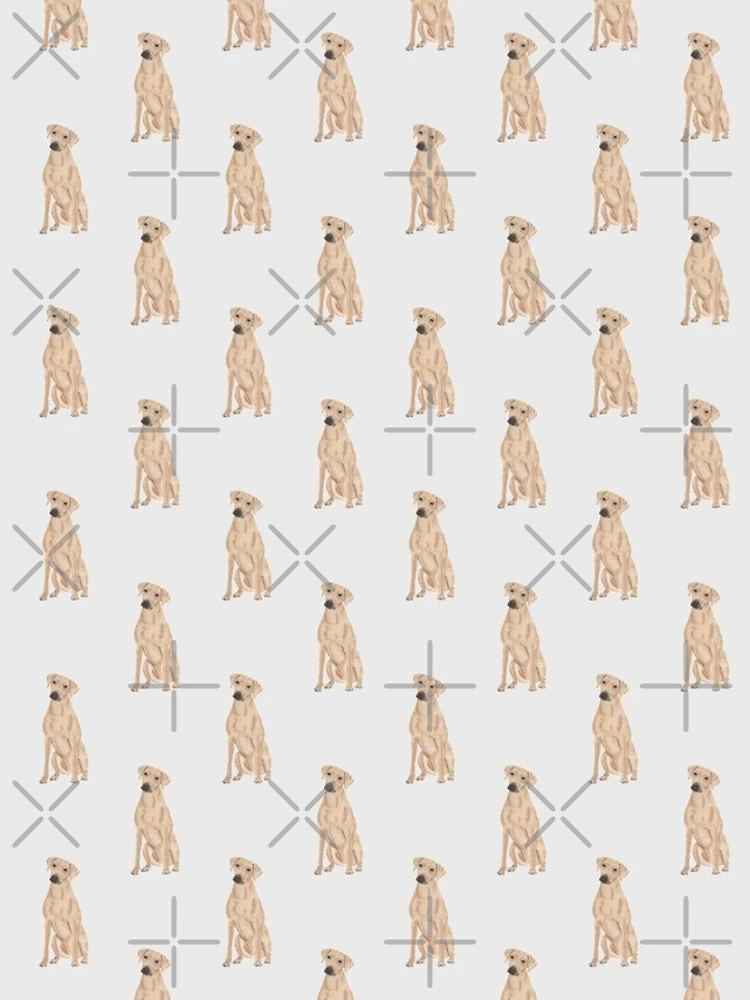 Thumbnail 4 of 4, Samsung Galaxy Phone Case, Rhodesian Ridgeback Pattern designed and sold by PrintsPrincess.