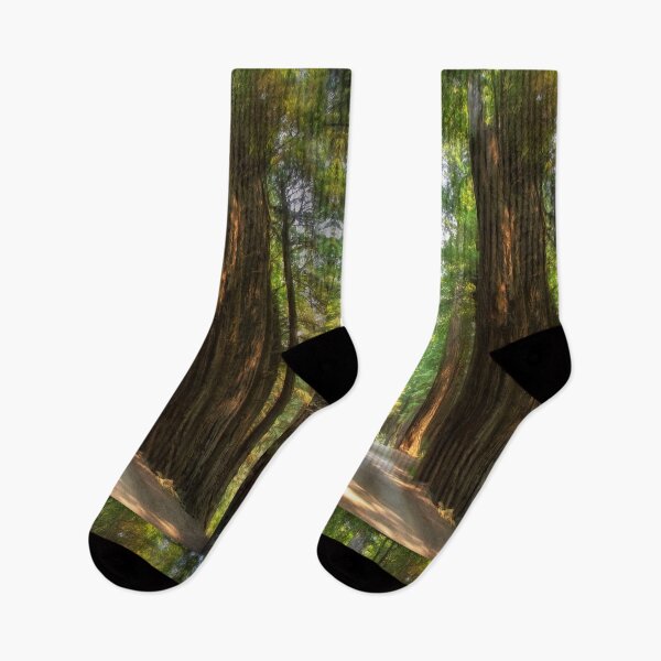 Item preview, Into the Redwood Forest designed and sold by Kathy Weaver.