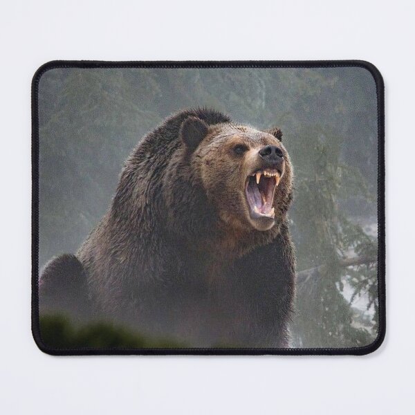 Item preview, BEAR designed and sold by Proldesigner.