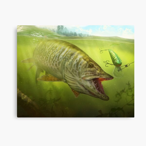 PUMPKINSEED SUNFISH PET FISH PAINTING AMERICAN FISHING ART REAL CANVAS PRINT