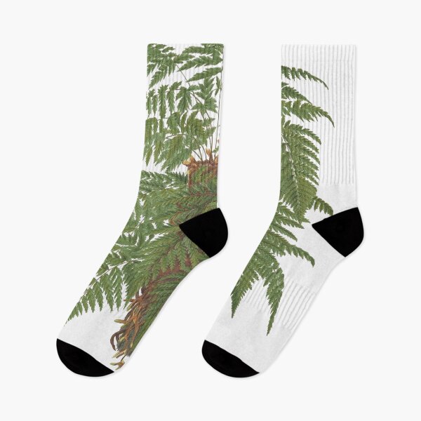Item preview, Vintage Fern Design with Roots designed and sold by Wenkatdesigns.