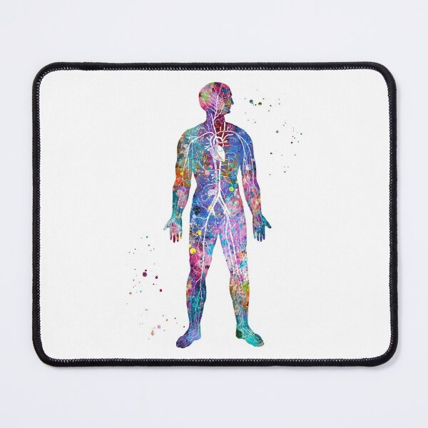 Item preview, Circulatory System of the Human Body designed and sold by EvasDreams.