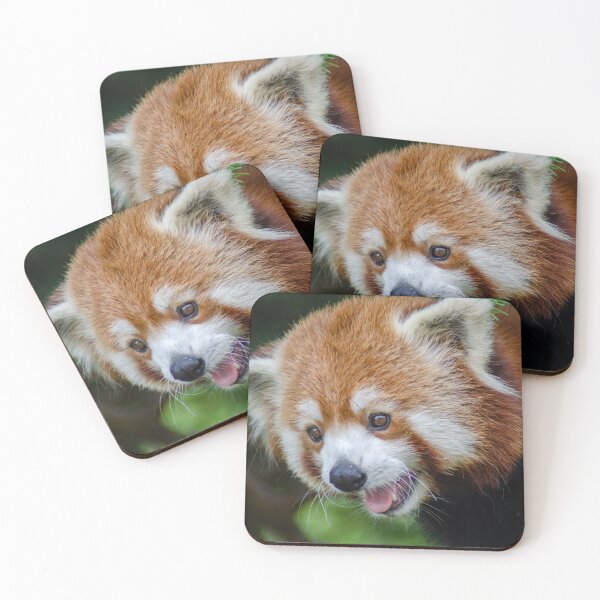 Item preview, Red Panda Blep designed and sold by Raven-Creative.