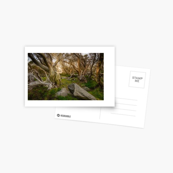 Item preview, Australian Snow Gums designed and sold by PaulMorrall.