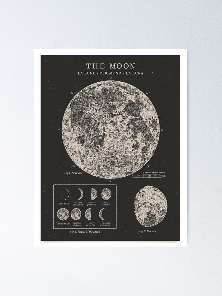 The Moon Poster for Sale by annaferarts