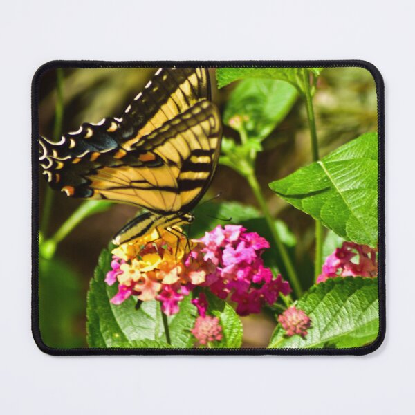 Item preview, Swallow Tail designed and sold by Derek Steckert.