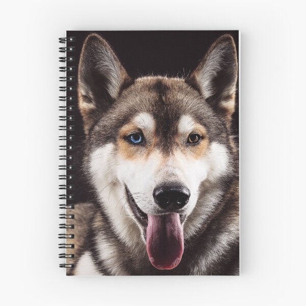 Item preview, Portrait Siberian Husky With Different Colored Eyes designed and sold by ONORMAL.