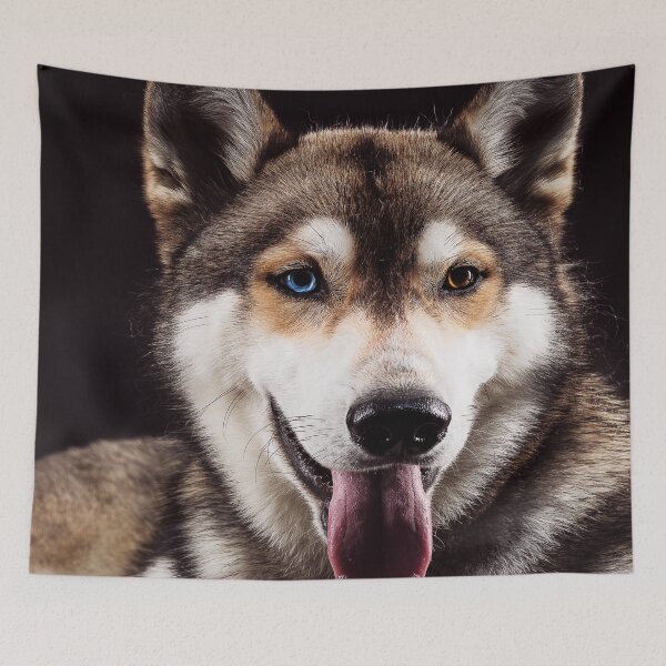 Item preview, Retrato de husky siberiano con ojos de diferentes colores designed and sold by ONORMAL.