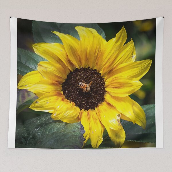Item preview, Busy Bee 4 designed and sold by Peter Hocking.