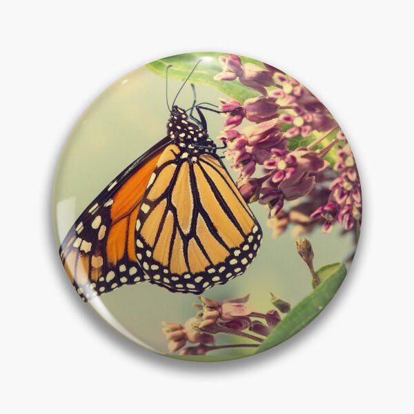 Item preview, Monarchs Need Milkweed Colorful Design designed and sold by EarthArtDesigns.