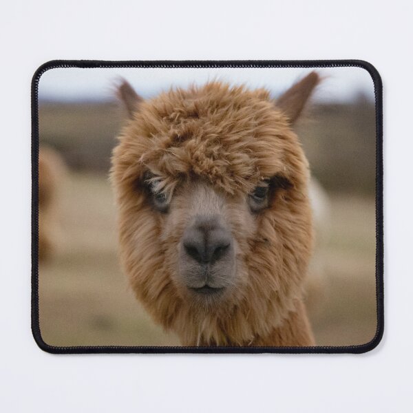 Item preview, Brown Alpaca designed and sold by wklize.