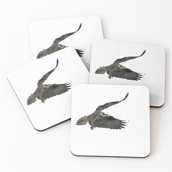 Item preview, Isolated Osprey 2021-2 designed and sold by Thomasyoung.