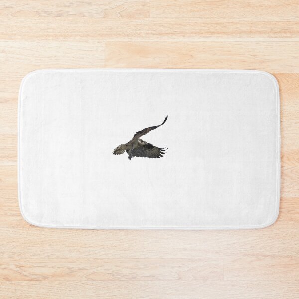 Item preview, Isolated Osprey 2021-2 designed and sold by Thomasyoung.