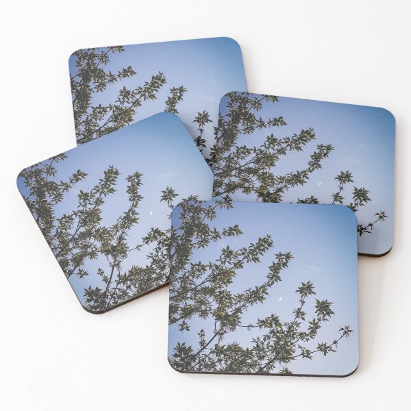 Item preview, Crescent Moon Photo designed and sold by tenannii.