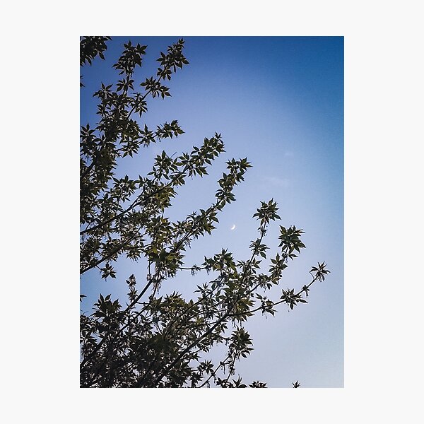 Item preview, Crescent Moon Photo designed and sold by tenannii.