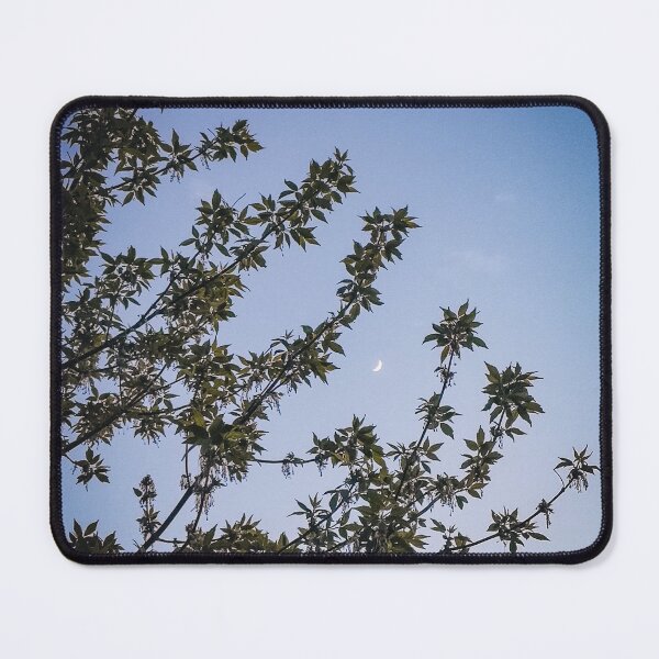 Item preview, Crescent Moon Photo designed and sold by tenannii.