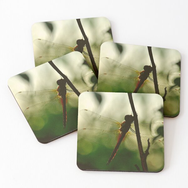 Item preview, Mr. Dragonfly, iPhone Cases & Skins, Galaxy Cases & Skins, iPhone Wallet, Scarves, iPad Skin, ards, Canvas Print, Poster, Framed Art Print Defaults, Art Print, Photographic Print, Metal Print', designed and sold by SpiralStairShop.