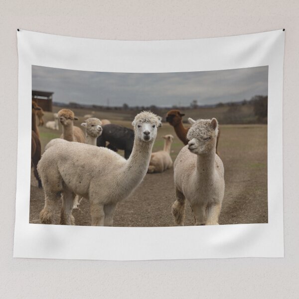 Item preview, Alpaca Army designed and sold by wklize.