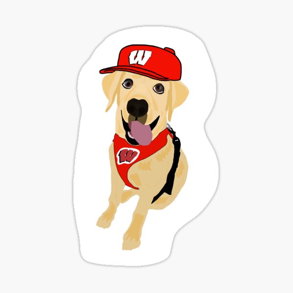 Yellow lab puppy - UW Madison Sticker