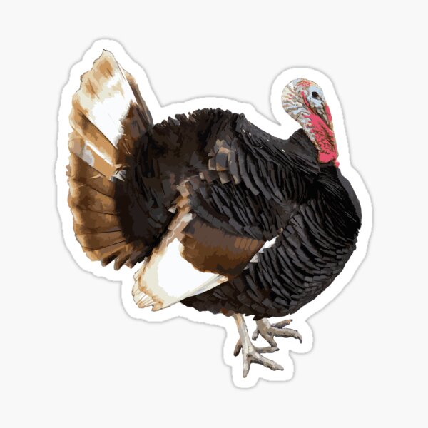 Item preview, Male heritage breed turkey designed and sold by kapowy27.