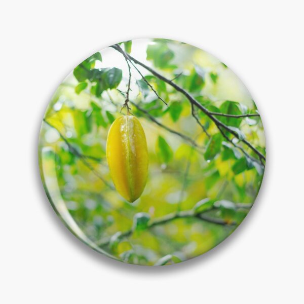 Item preview, Starfruit designed and sold by sophiedituri.