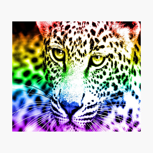 Aperçu de l'œuvre Années 80 RETRO RAINBOW LEOPARD créée et vendue par COREYTIGER.