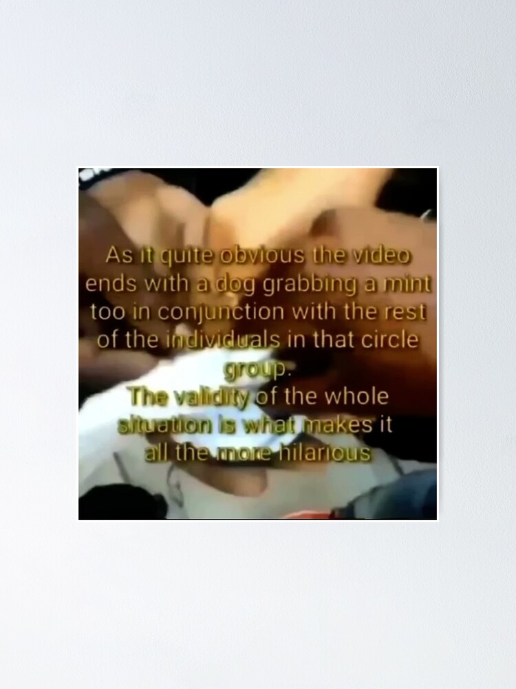 What The Dog Doing King Bach Vine Meme Oversimplified Explained Poster