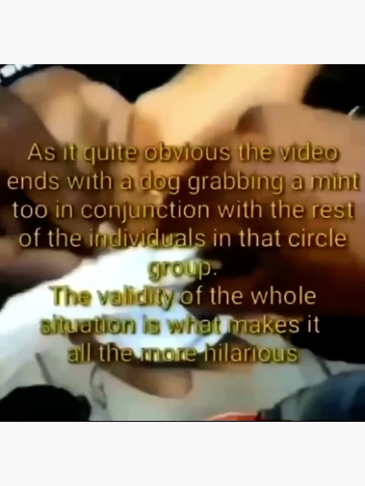 What The Dog Doing King Bach Vine Meme Oversimplified Explained