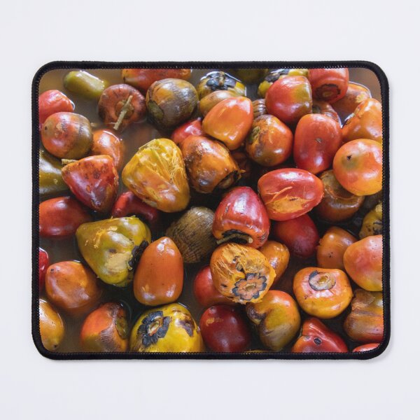 Item preview, Palm Nuts Soaking in Salt Water designed and sold by SafariByMarisa.