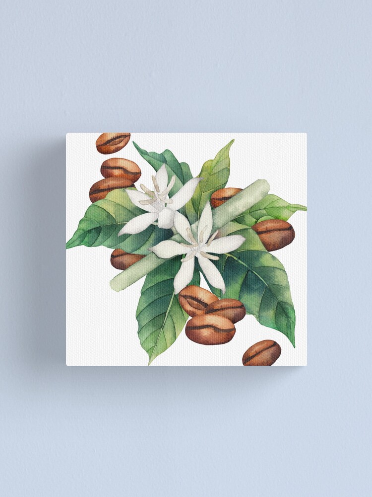 Alternate view of Watercolor coffee vignette Canvas Print