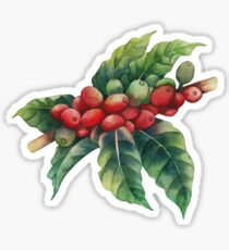 Watercolor coffee beans Sticker