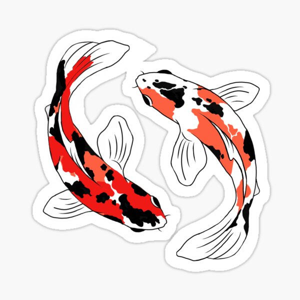 3D Art Drawing Koi Fish With Colored Pencil (Kohaku) - YouTube