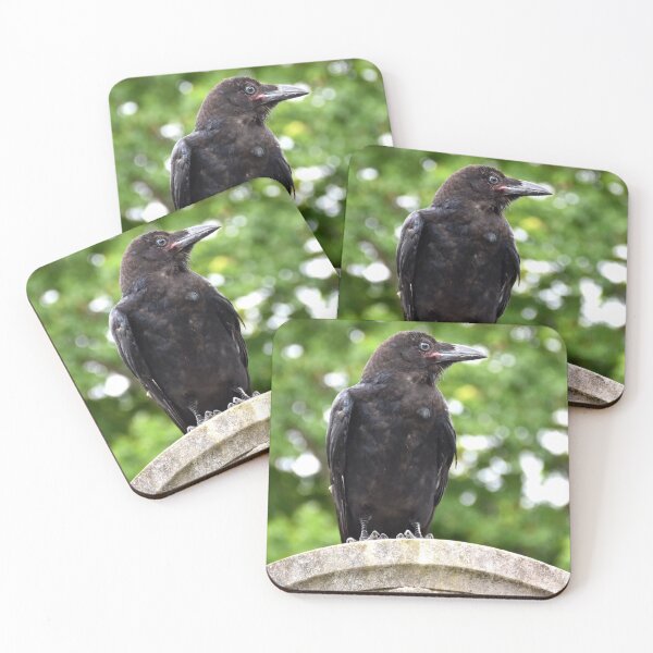 Item preview, Crow Cemetery Photography designed and sold by Digitaldingo.