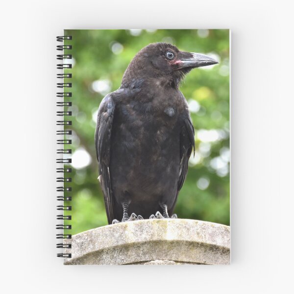 Item preview, Crow Cemetery Photography designed and sold by Digitaldingo.