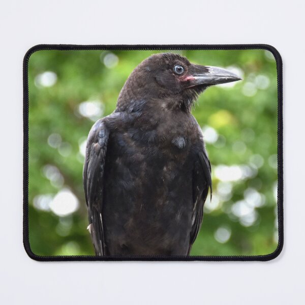 Item preview, Crow Cemetery Photography designed and sold by Digitaldingo.
