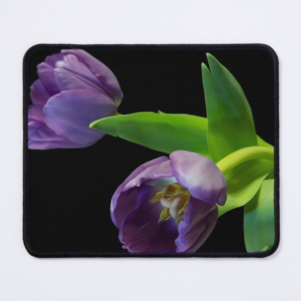 Item preview, Tulips designed and sold by Coolscapes.