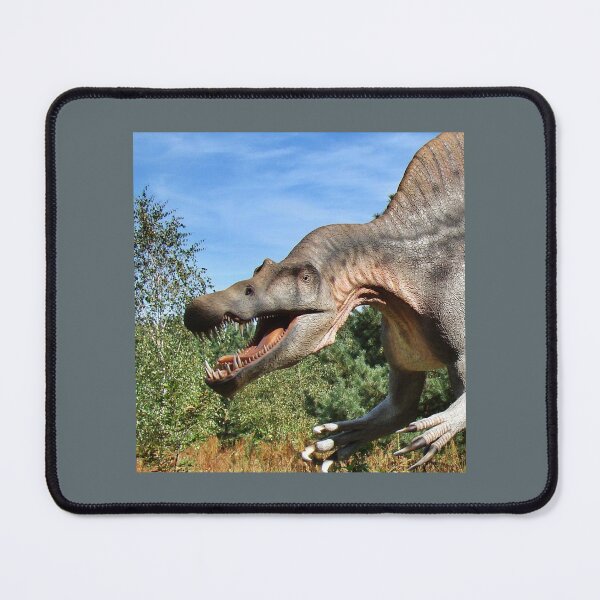 Item preview, Dinosaurus! Chiffon Top designed and sold by InMindStudio.