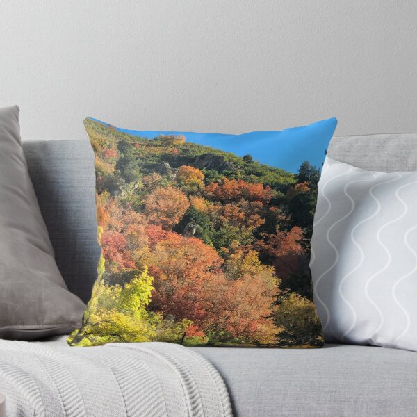 Aperçu de l'œuvre Couleur des feuilles dans l'Utah créée et vendue par JTony.