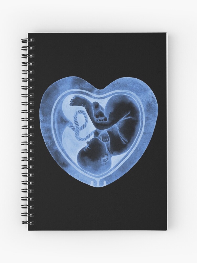 Blue Baby Boy Sonogram Ultrasound Pregnancy Book 3 Ring Binder